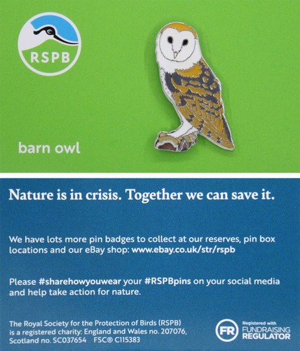 Rspb pin badge - rspb, barn