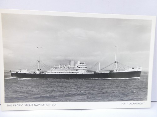 Salamanca pacific steam - v,