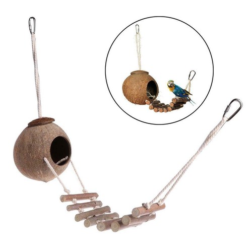 Cute natural coconut - natural,