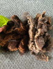 Raw Wool, Pedigree Zwartble (125g) & Pedigree Ryeland (125g)