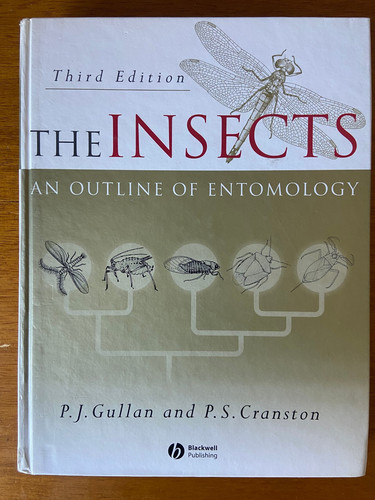 Insects outline of - insects,