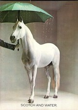 Vintage 1971 Advert for WHITE
