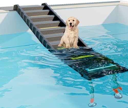 Foldable dog pool ramp with - dog,