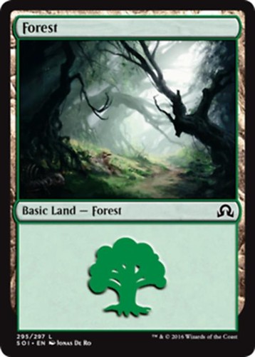 Forest shadows over - shadows,