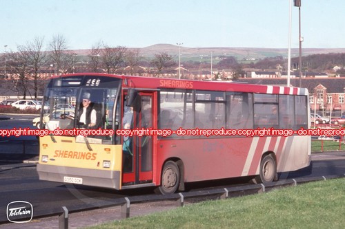 Bus photo shearings g350gck - bus,