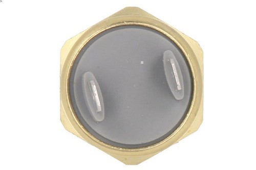 Temperature switch radiator - switch,,