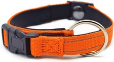 Pawliberation Magnetic Dog Collar - Durable Material + Heavy-Duty Buckle