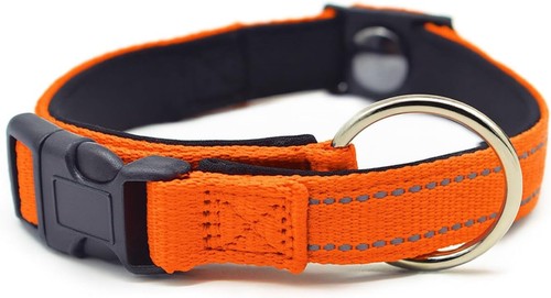 Pawliberation magnetic dog - pawliberation,