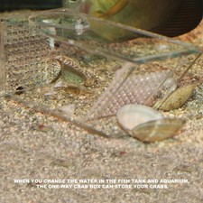 Acrylic Aquarium Fish Tank