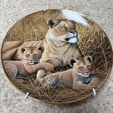 African Lioness And Cubs By