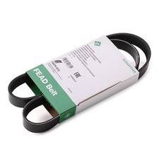 Genuine INA V Ribbed Drive Fan Aux Belt 6PK1070 Fits Audi Citroen Fiat Vauxhall