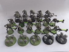 22 x Necron Warriors and 5 x