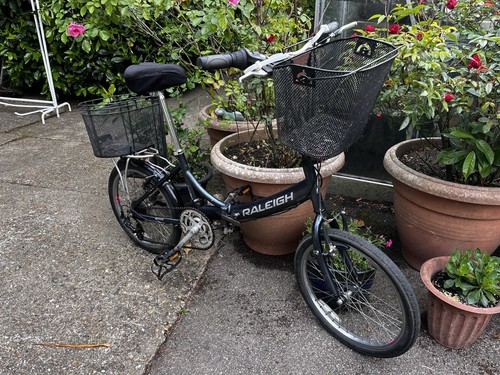 Raleigh evo folding - raleigh,