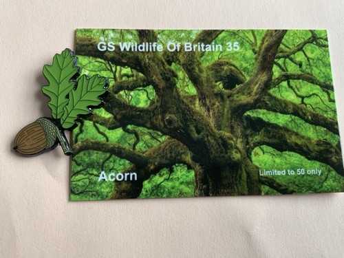 None rspb badges collection - badges, gs