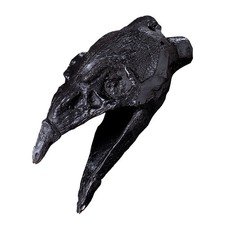 Aztec Death Whistle Crow's