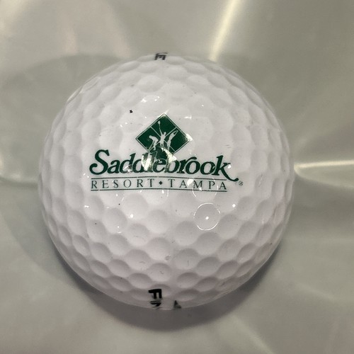 Saddlebrook saddle brook - saddle,