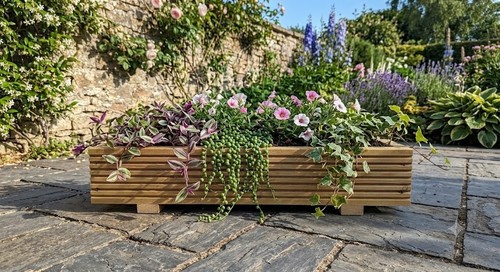 Wooden decking planter - planter, timber