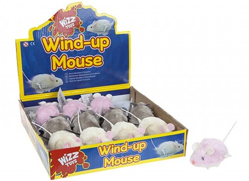 Cat kitten play wind - cat, up