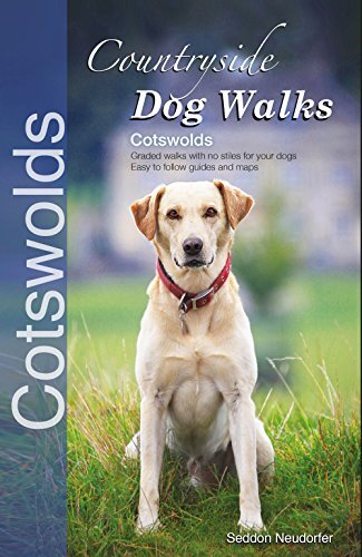 Countryside dog walks - dog,