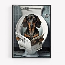 bathroom sausage dachshund on toilet Print Picture Poster Unframed A4 newspaper