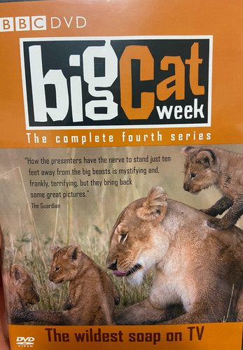 Big cat week season - big,