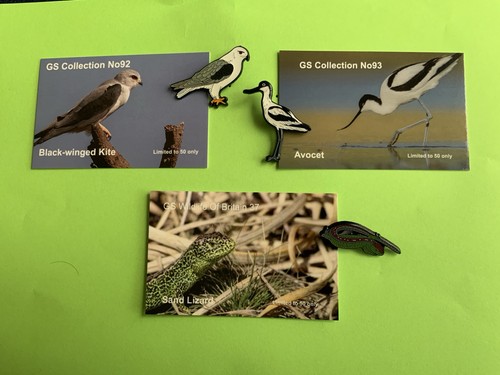 None rspb badges - badges, 37