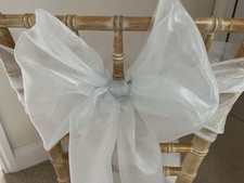 Baby Blue Double Organza