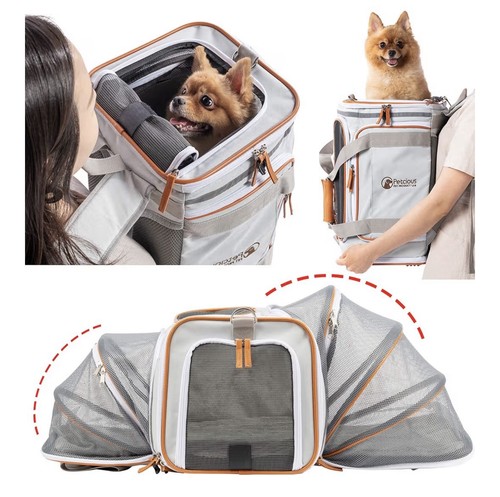 Airline approved pet carrier - airline,