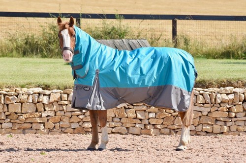 Horse turnout rug 100g - horse,