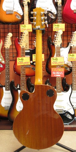Epiphone wildkat hollow - wildkat, body