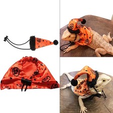 Bearded Dragon Costume Set
