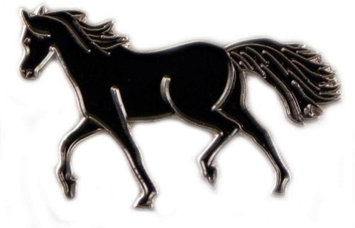 Black pony horse riding - horse,