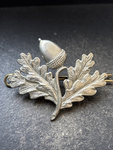 South nottinghamshire hussars - south,