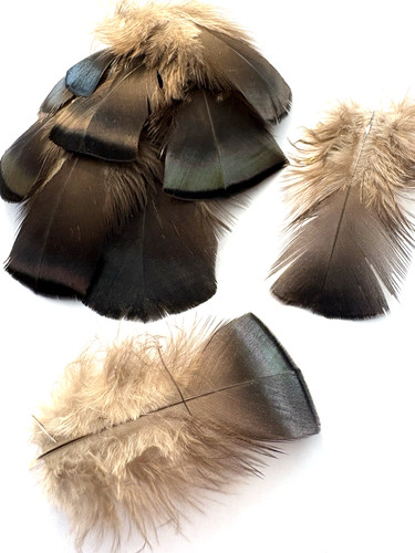 10pcs 11cm natural - natural, wild