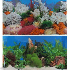 49cm aquarium background - 19"/49cm,
