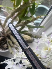 Silver ring Thomas Sabo 925