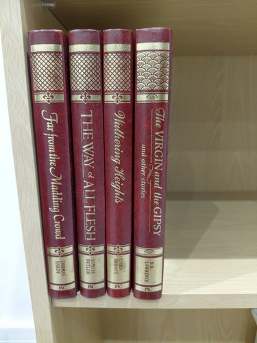 Vintage heron books job lot - vintage,