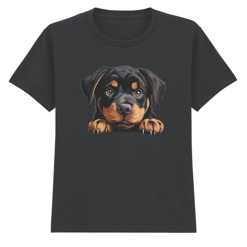 Cute rottweiler puppy - rottweiler,