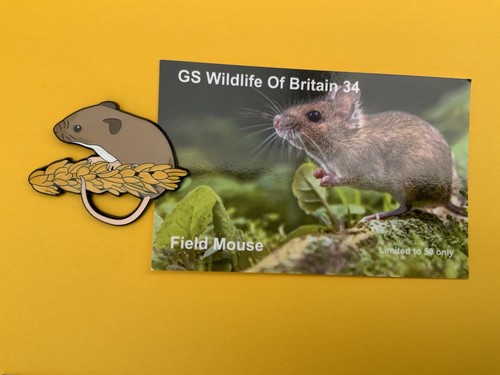 None rspb badges collection - none,