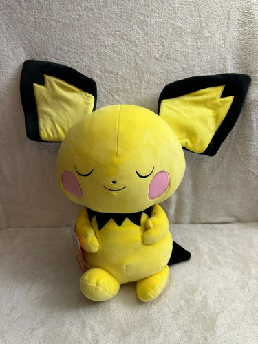 Pokemon large nwt - pokemon, sleeping