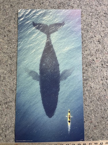 Big fish whale - fish,