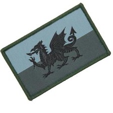 Welsh Dragon 3 Colour MTP
