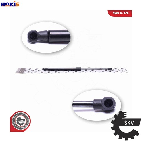 Gas spring bootcargo area - gas,
