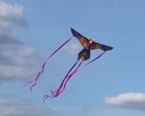Beautiful large kite for - beautiful,