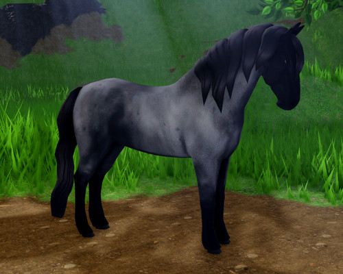 Rare cross coat friesian - v1,