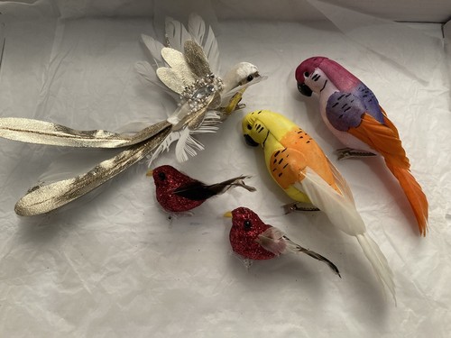 Vintage christmas birds clip - ,