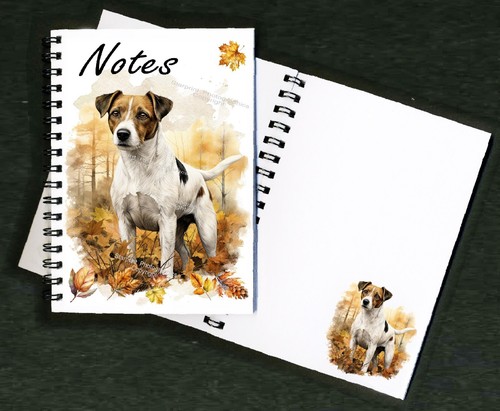 Jack russell terrier - russell,