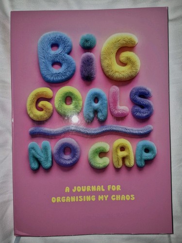 Paperchase big goals - , no