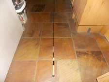 (HTF) Diawa Graphite Procaster