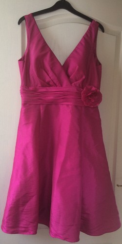 Stunning silk rose pink bhs - stunning,